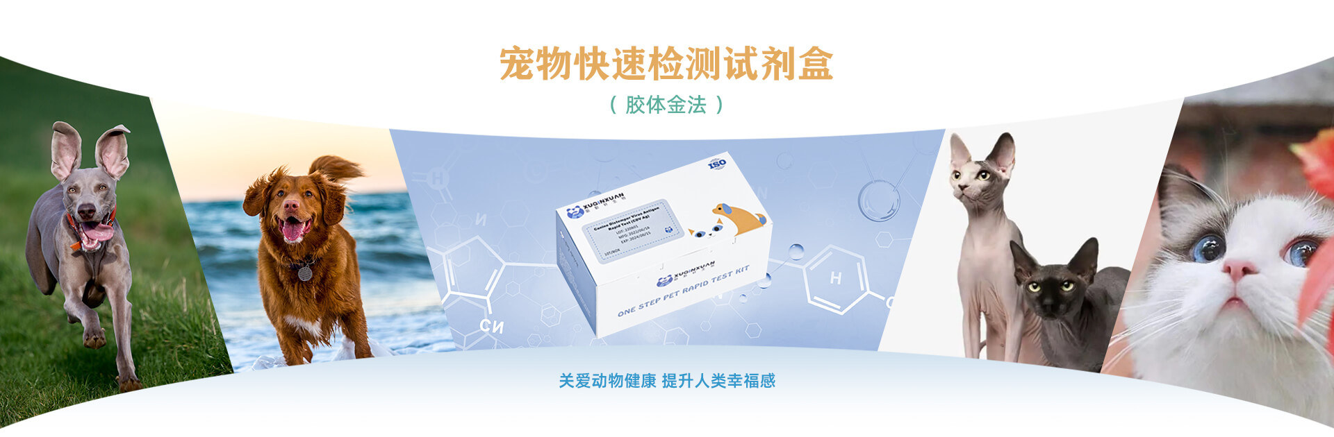 pc端輪播圖3